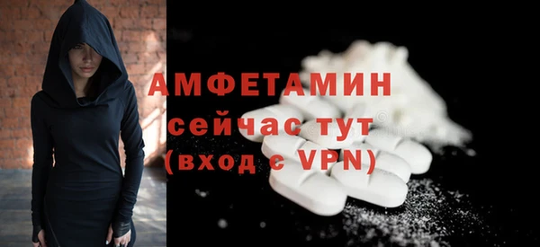 сатива Алзамай