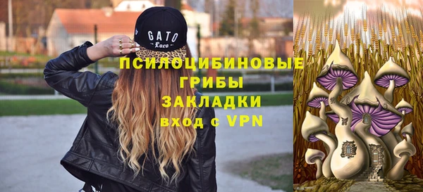 сатива Алзамай