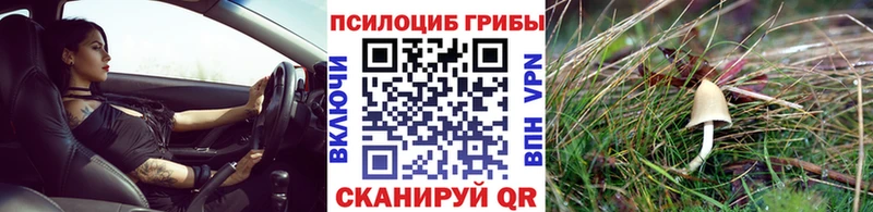 купить наркотики сайты  Бабушкин  Галлюциногенные грибы Magic Shrooms 
